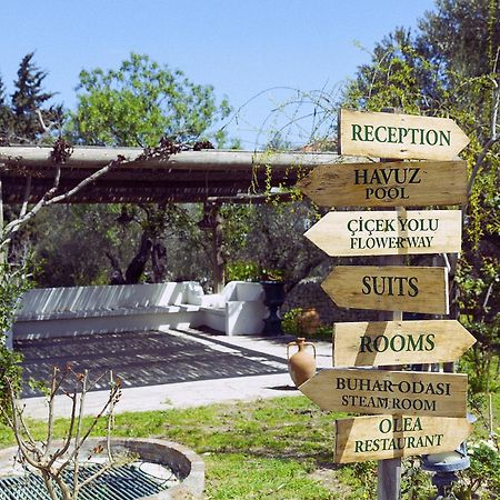 Olive Farm Of Datca Guesthouse (Adults Only) 外观 照片