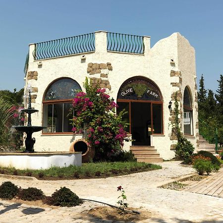 Olive Farm Of Datca Guesthouse (Adults Only) 外观 照片