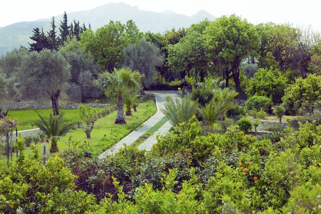 Olive Farm Of Datca Guesthouse (Adults Only) 外观 照片