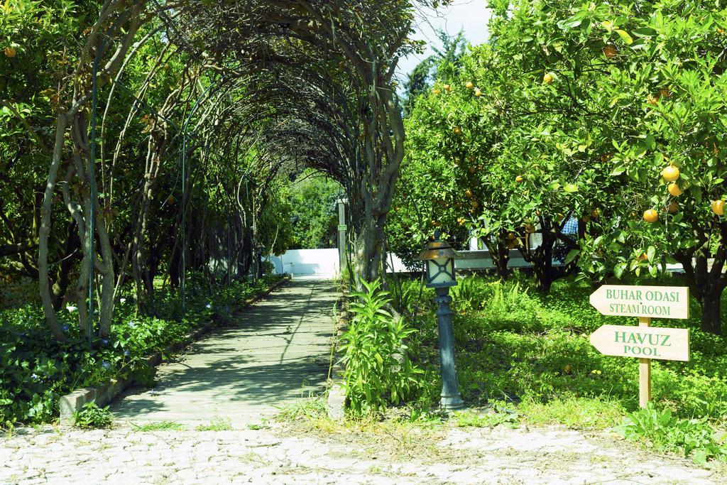 Olive Farm Of Datca Guesthouse (Adults Only) 外观 照片