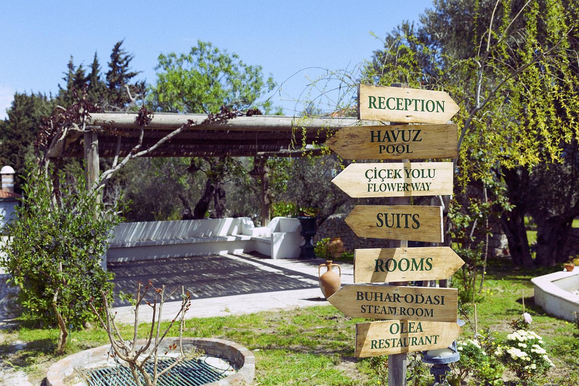 Olive Farm Of Datca Guesthouse (Adults Only) 外观 照片