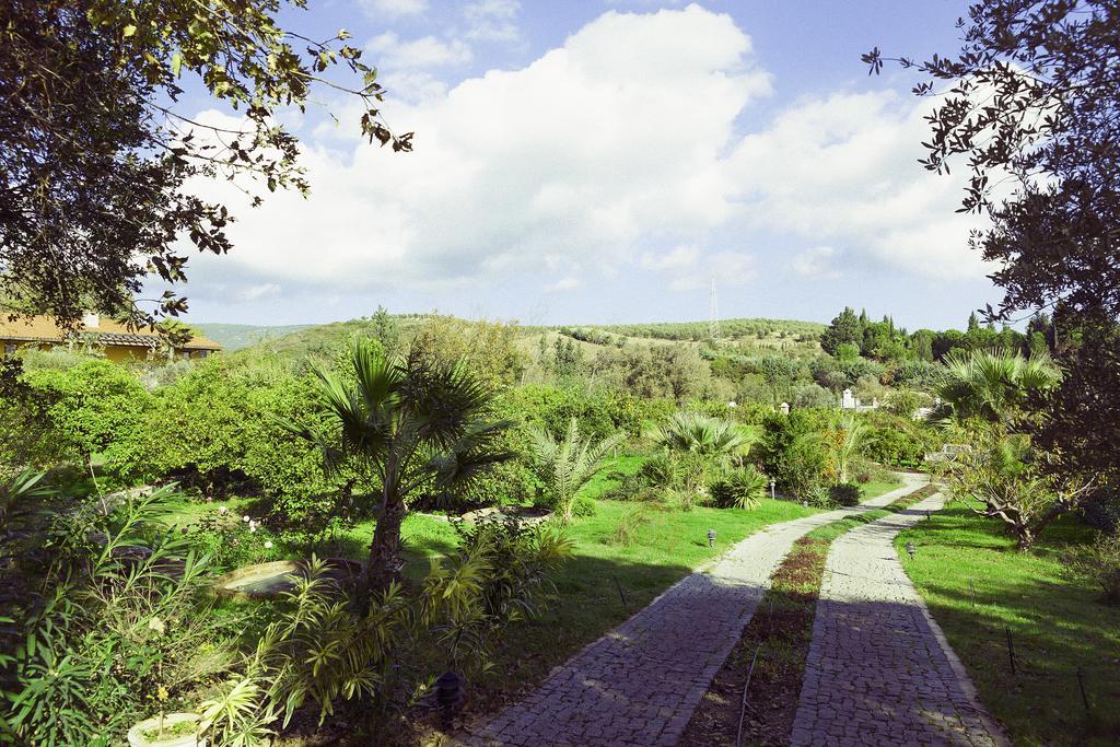 Olive Farm Of Datca Guesthouse (Adults Only) 外观 照片