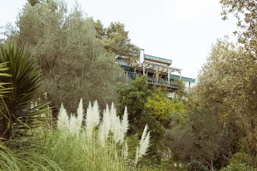 Olive Farm Of Datca Guesthouse (Adults Only) 外观 照片