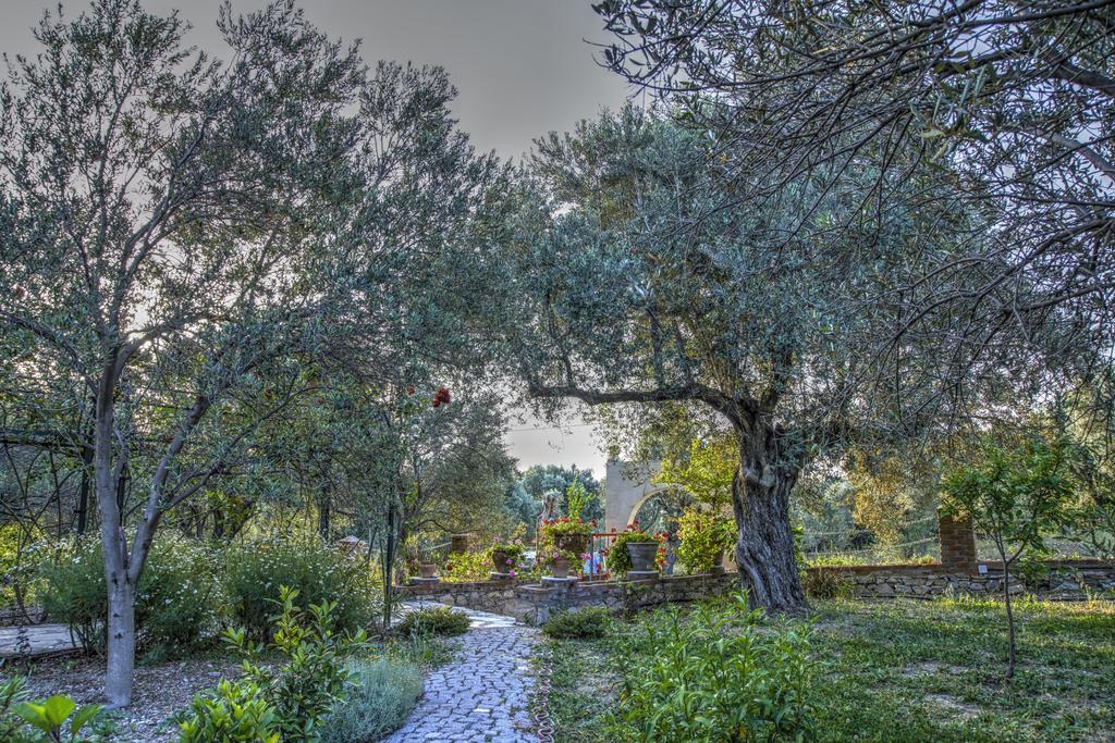 Olive Farm Of Datca Guesthouse (Adults Only) 外观 照片