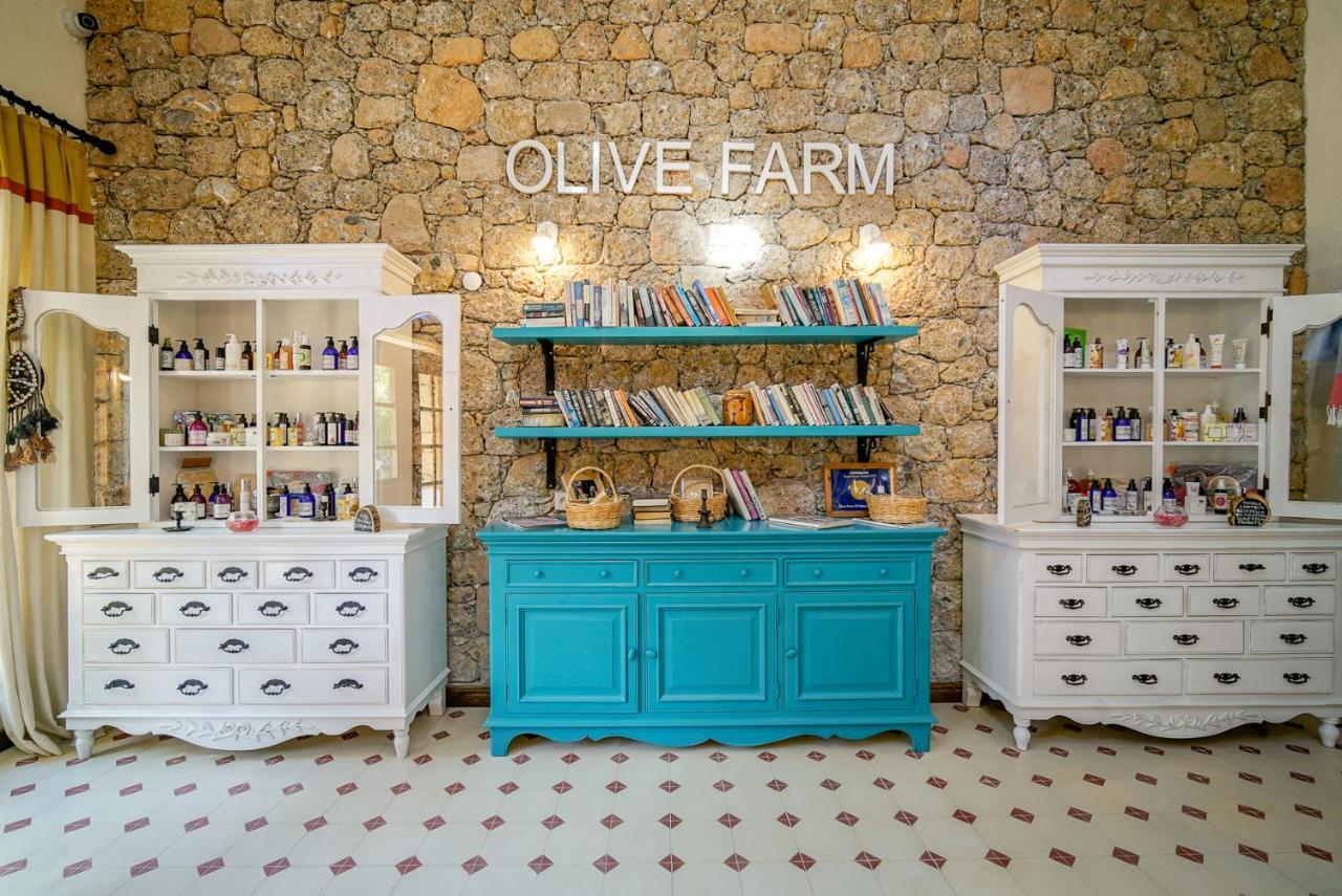 Olive Farm Of Datca Guesthouse (Adults Only) 外观 照片