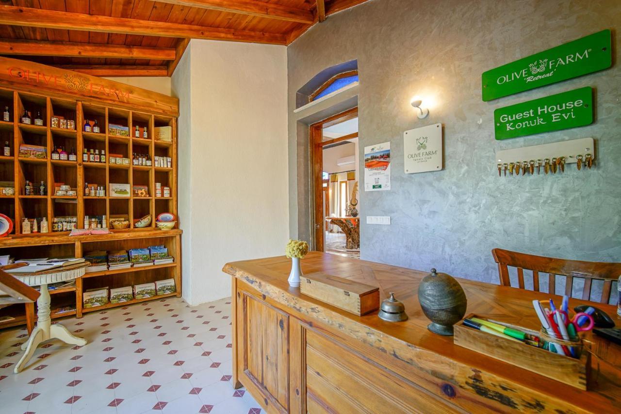 Olive Farm Of Datca Guesthouse (Adults Only) 外观 照片