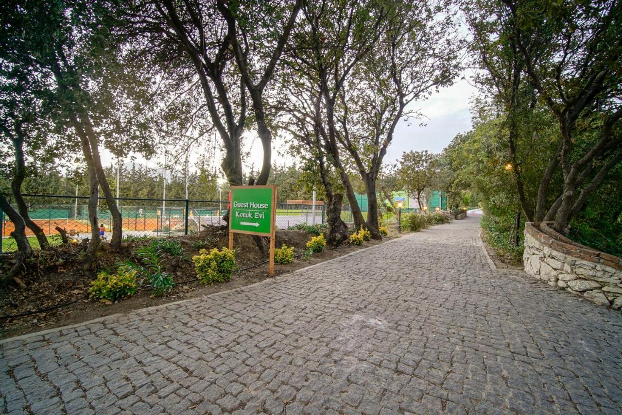 Olive Farm Of Datca Guesthouse (Adults Only) 外观 照片