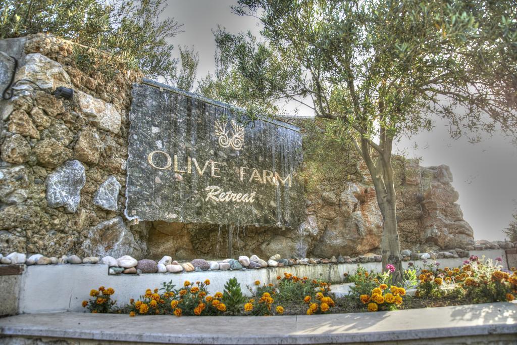 Olive Farm Of Datca Guesthouse (Adults Only) 外观 照片