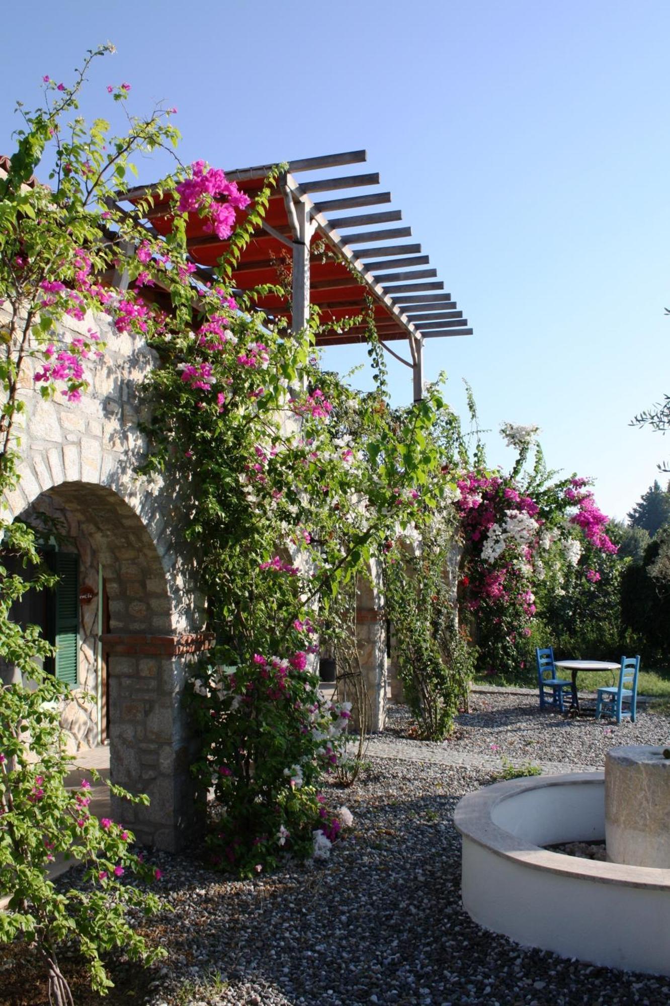 Olive Farm Of Datca Guesthouse (Adults Only) 外观 照片
