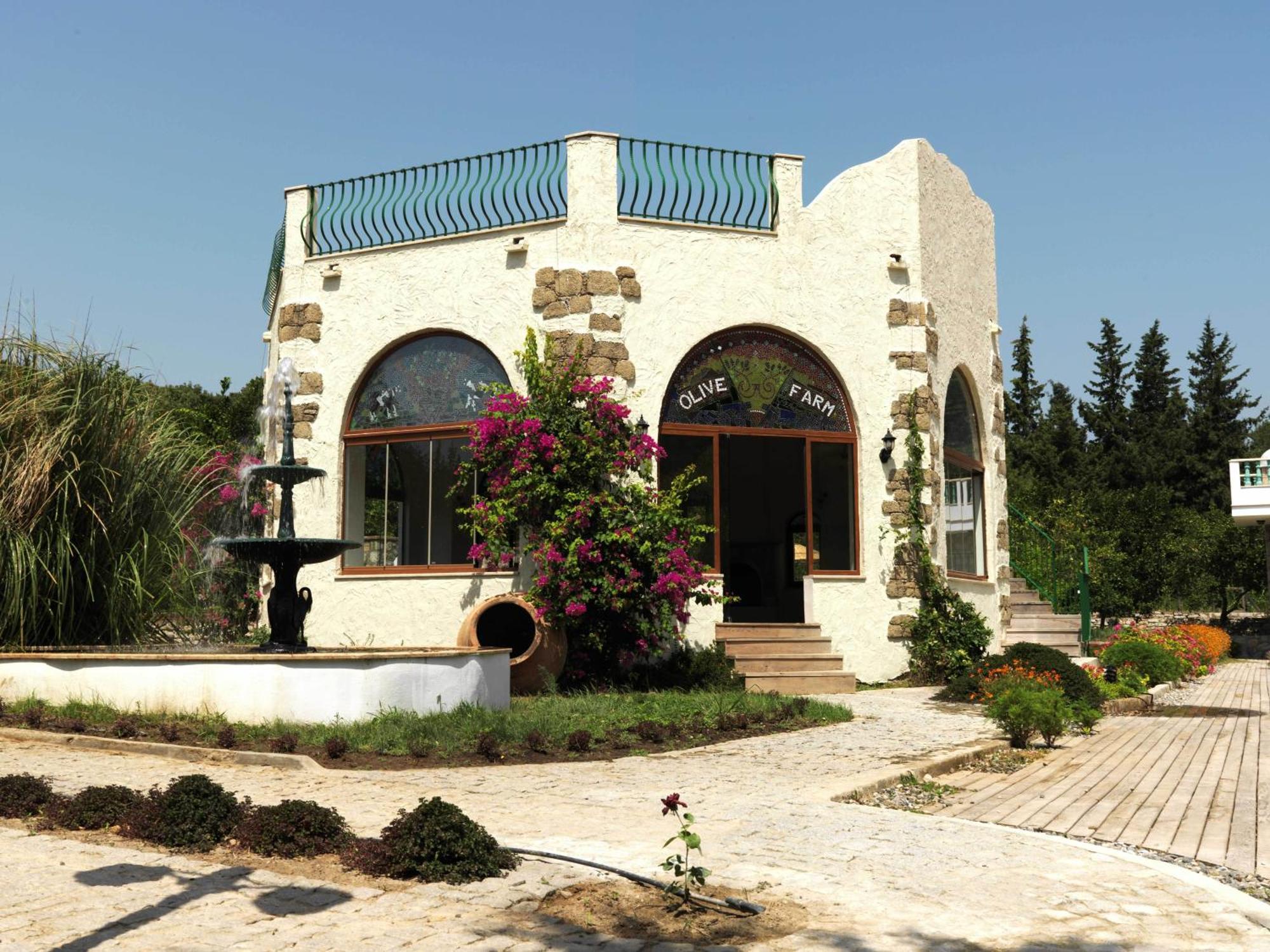 Olive Farm Of Datca Guesthouse (Adults Only) 外观 照片