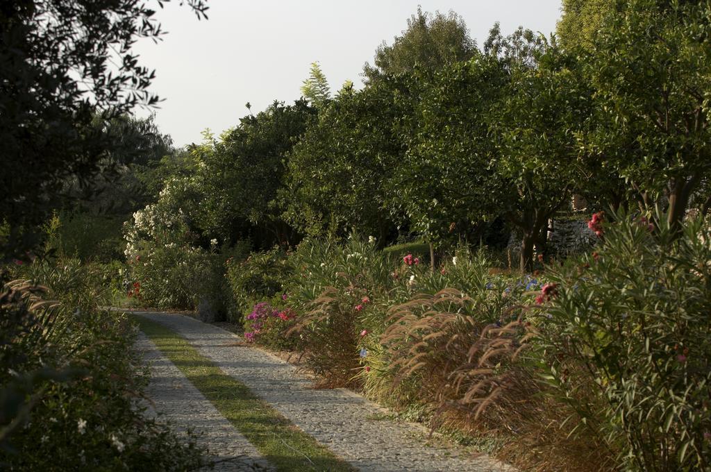 Olive Farm Of Datca Guesthouse (Adults Only) 外观 照片