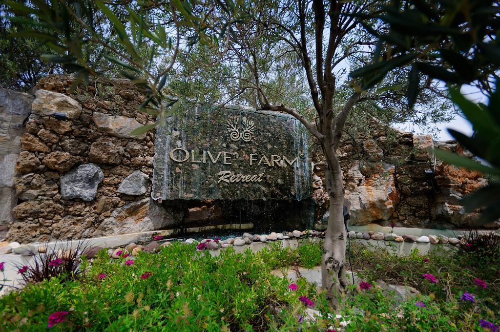 Olive Farm Of Datca Guesthouse (Adults Only) 外观 照片