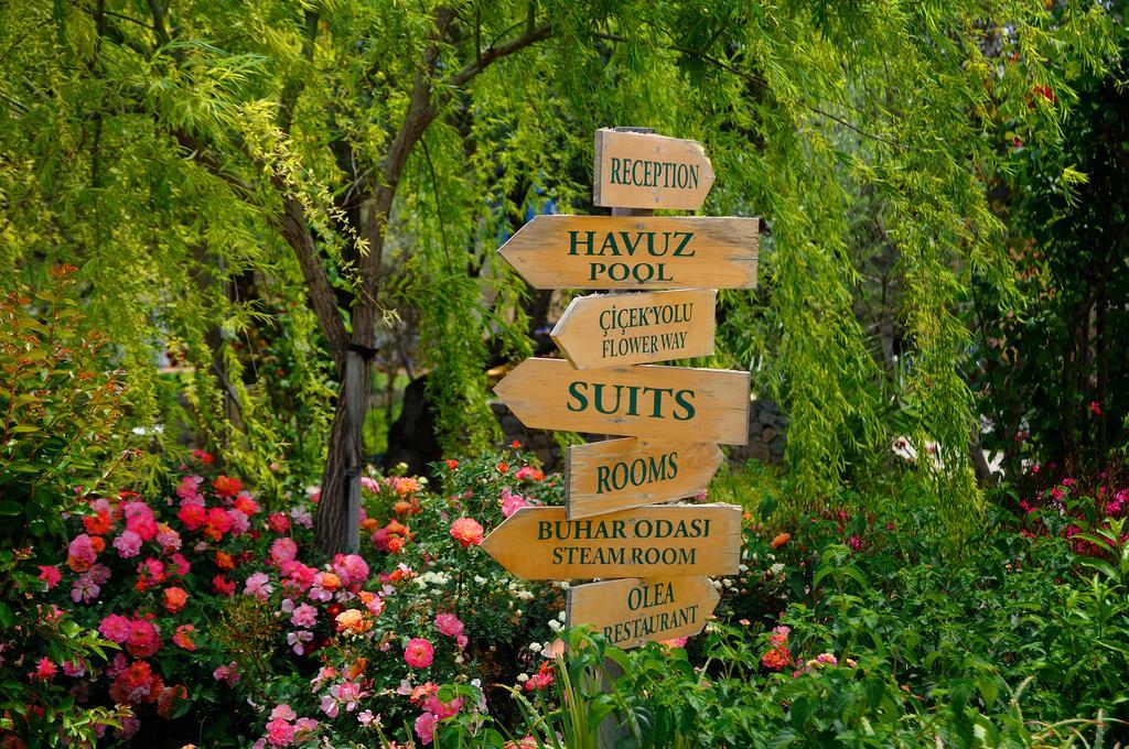 Olive Farm Of Datca Guesthouse (Adults Only) 外观 照片