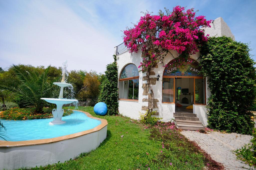 Olive Farm Of Datca Guesthouse (Adults Only) 外观 照片