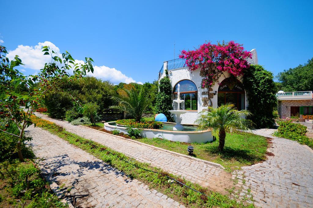 Olive Farm Of Datca Guesthouse (Adults Only) 外观 照片