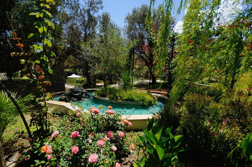 Olive Farm Of Datca Guesthouse (Adults Only) 外观 照片