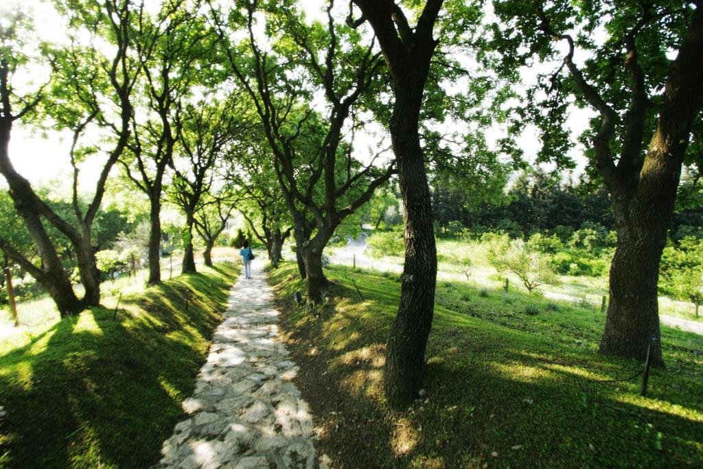 Olive Farm Of Datca Guesthouse (Adults Only) 外观 照片