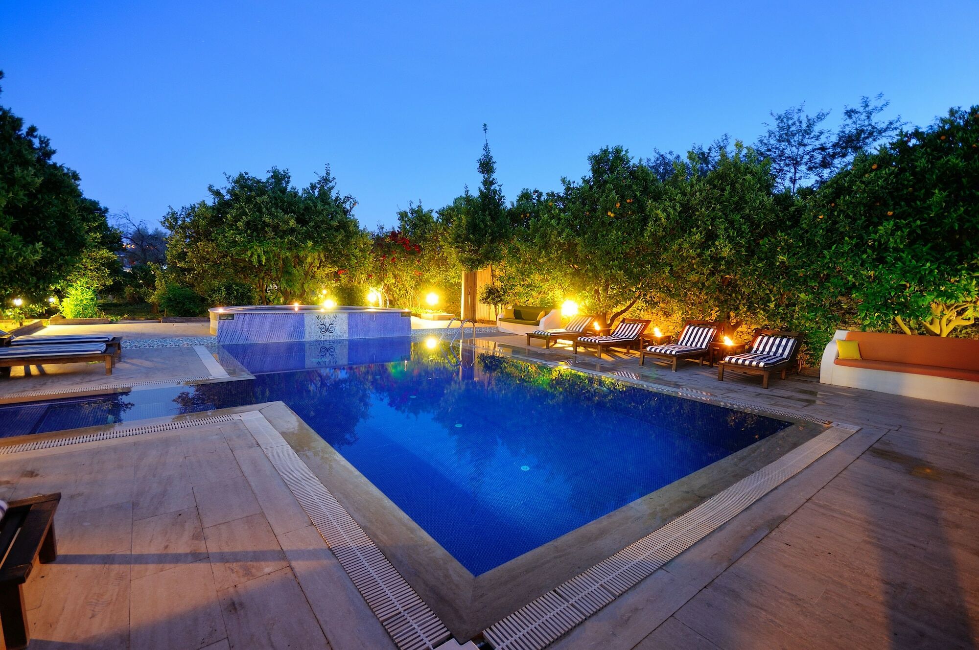 Olive Farm Of Datca Guesthouse (Adults Only) 外观 照片